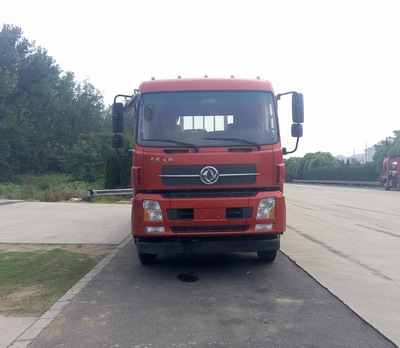 DFH1250BX5A载货汽车燃油公告图片1