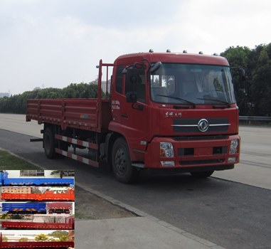 DFH3160BX5自卸汽车燃油公告图片2