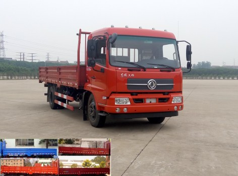 DFH1120B1载货汽车燃油公告图片2