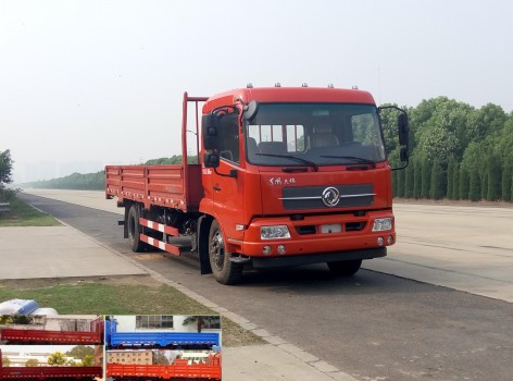 DFH1120B1载货汽车燃油公告图片2