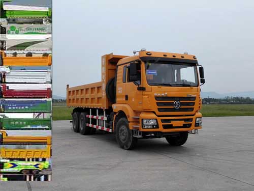 SX3256MR3842自卸汽车燃油公告图片2