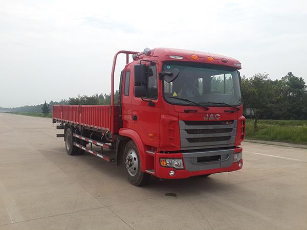 HFC1161P3K2A47S1V载货汽车燃油公告图片2