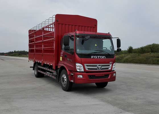BJ5169CCY-F1仓栅式运输车燃油公告图片2