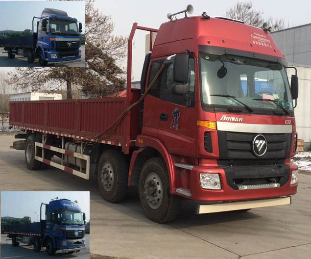 BJ1252VMPGE-XB载货汽车燃油公告图片2