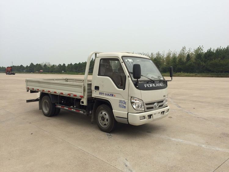 BJ1046V9JB5-F1载货汽车燃油公告图片2