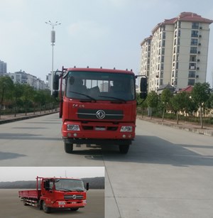 DFH1160BX1JV载货汽车燃油公告图片1