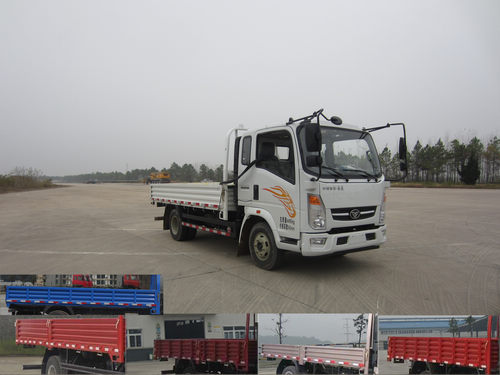 ZZ1048D17DB1载货汽车燃油公告图片2