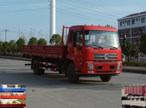 DFL1160BX5载货汽车燃油公告图片2