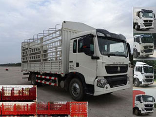 ZZ5167CCYH501GD1H仓栅式运输车燃油公告图片2