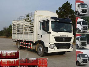 ZZ5167CCYK501GE1B仓栅式运输车燃油公告图片2