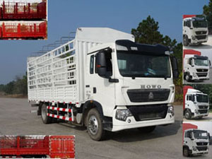 ZZ5167CCYK501GE1B仓栅式运输车燃油公告图片2
