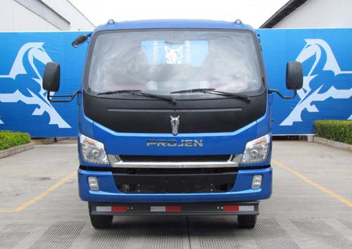 LFJ1045PCG1载货汽车燃油公告图片1