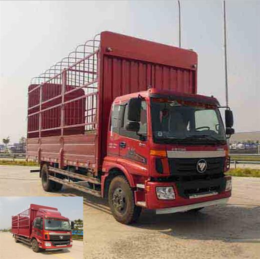 BJ5169CCY-F2仓栅式运输车燃油公告图片2