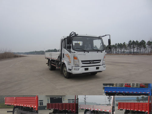 ZZ1048D17DB1载货汽车燃油公告图片2