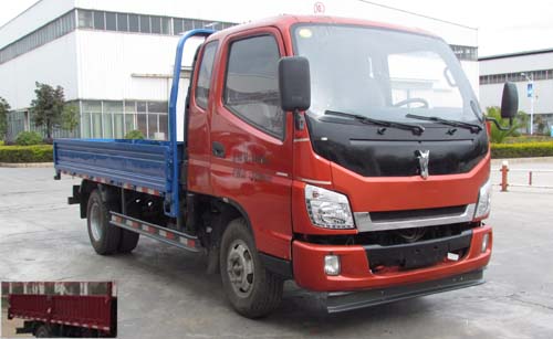LFJ1045PCG1载货汽车燃油公告图片2