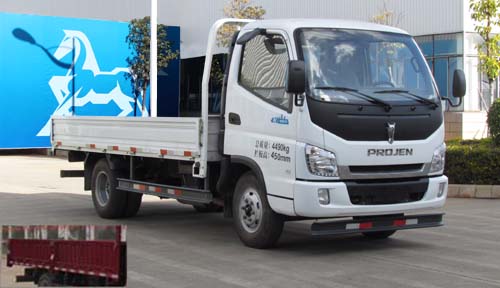 LFJ1045PCG1载货汽车燃油公告图片2