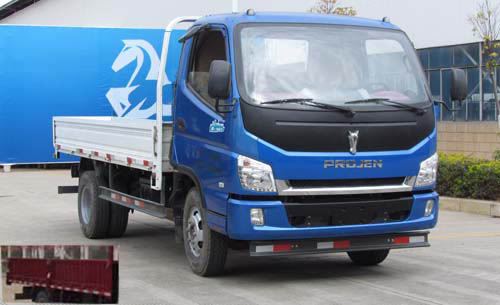 LFJ1045PCG1载货汽车燃油公告图片2