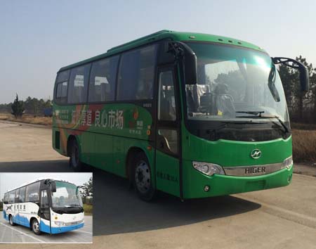 KLQ6796KQE51客车燃油公告图片2
