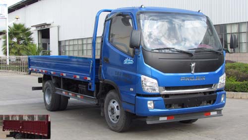 LFJ1045PCG1载货汽车燃油公告图片2