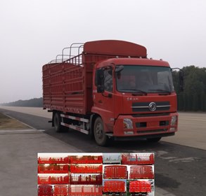 DFH5160CCYBX5A仓栅式运输车燃油公告图片2