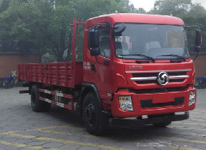 CJ1160D48A载货汽车燃油公告图片2