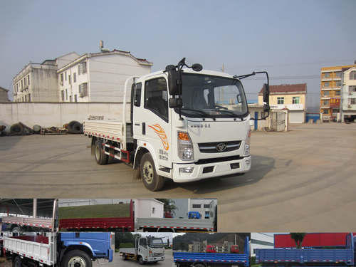 ZZ1048D18DB0载货汽车燃油公告图片2