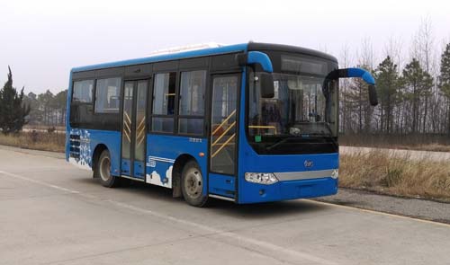 HFF6770GDE5B城市客车燃油公告图片2