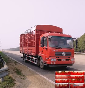 DFH5160CCYBX1JVA仓栅式运输车燃油公告图片2