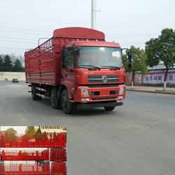 DFH5250CCYBXV仓栅式运输车燃油公告图片2