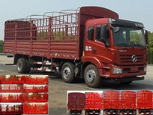 DYQ5250CCYD5CB仓栅式运输车燃油公告图片2