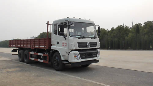 EQ1250GD5D1载货汽车燃油公告图片2