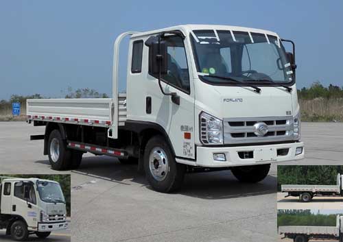 BJ1046V9PDA-BB载货汽车燃油公告图片2