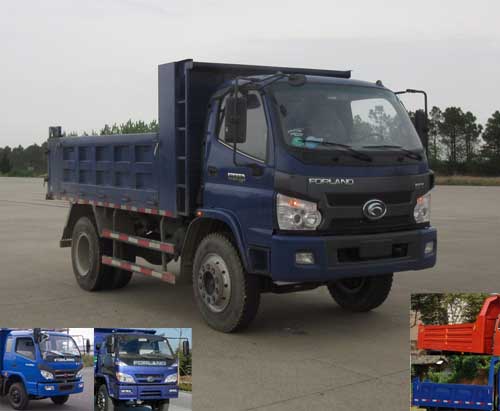BJ3042D8PEA-G3自卸汽车燃油公告图片2