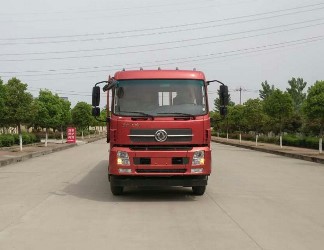 DFH1250BXV载货汽车燃油公告图片1