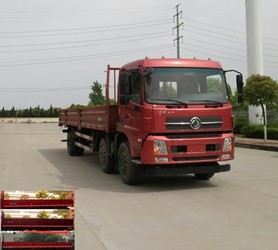 DFH1250BXV载货汽车燃油公告图片2