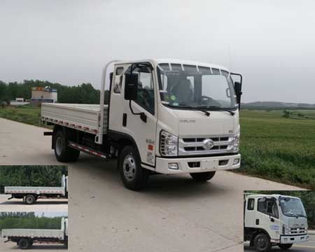 BJ1046V9PDA-BB载货汽车燃油公告图片2