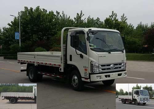 BJ1046V9JDA-BA载货汽车燃油公告图片2