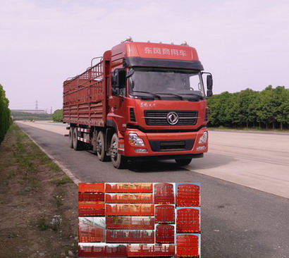 DFH5310CCYA1仓栅式运输车燃油公告图片2