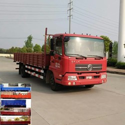 DFH1100B载货汽车燃油公告图片2