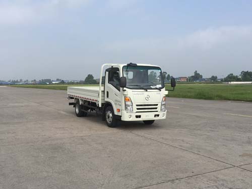 CGC1043HDD33E1载货汽车燃油公告图片2