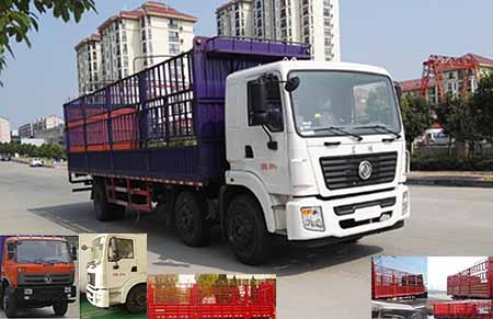DLQ5250CCYL5仓栅式运输车燃油公告图片2