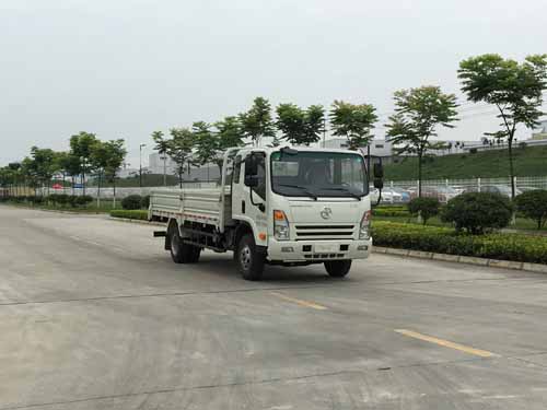 CGC1140HDE41E载货汽车燃油公告图片2