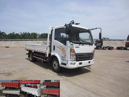 ZZ1048D17EB0载货汽车燃油公告图片2