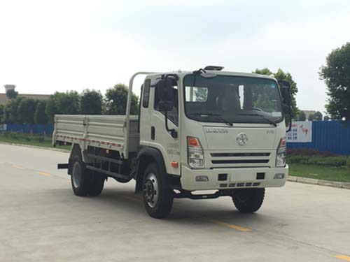 CGC1140HDE41E载货汽车燃油公告图片2