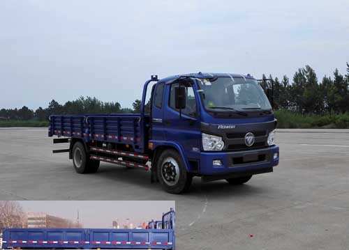 BJ1155VKPEG-1载货汽车燃油公告图片2