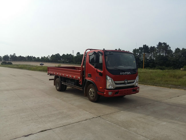 BJ1048V9JEA-FA载货汽车燃油公告图片2