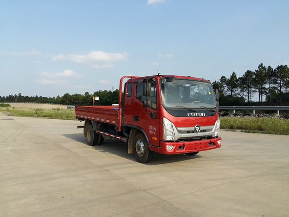 BJ1048V9JEA-FA载货汽车燃油公告图片2