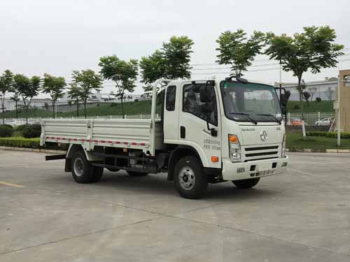 CGC1100HDE44E载货汽车燃油公告图片2