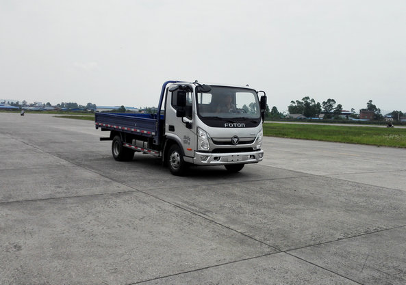 BJ1048V9JDA-FA载货汽车燃油公告图片2