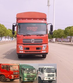 DFH5160CCYBX1DV仓栅式运输车燃油公告图片1
